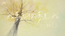 Wo Mengjian ni Mengjian wo